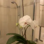 Hotel Labrador 3*