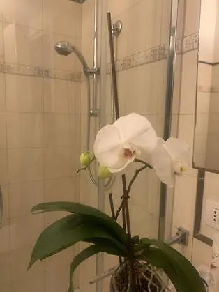 Hotel Labrador 3*