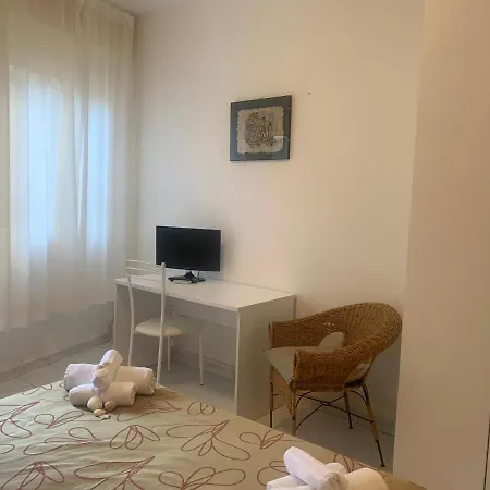 Labrador 3*
