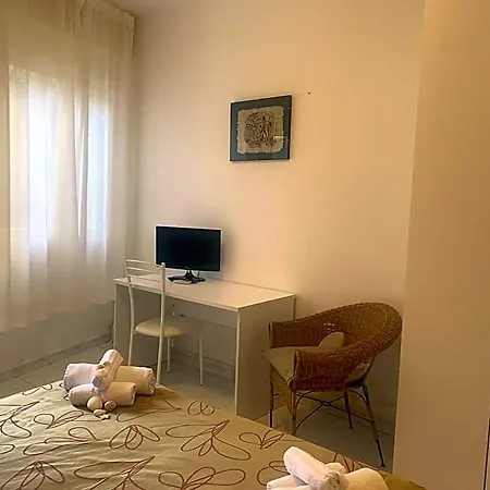 Labrador 3* Cattolica